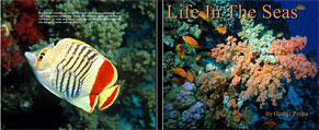 Buy Life In The Seas Book!