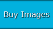 Buy Images