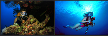 Diver Lighting